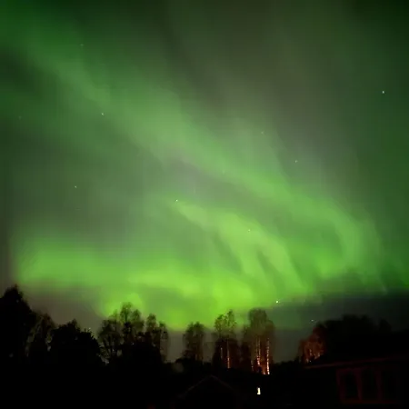 Bears Nest Rovaniemi